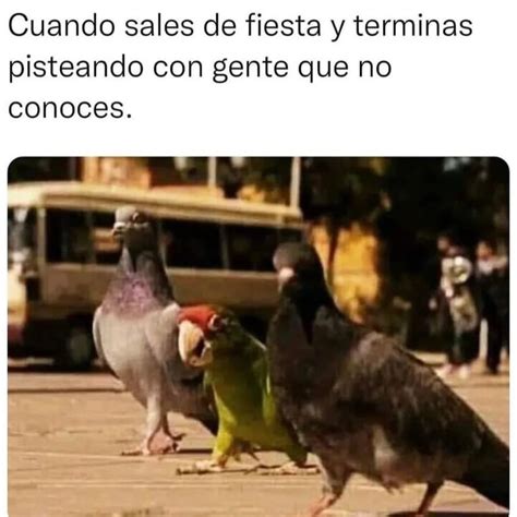 Cuando Sales De Fiesta Y Terminas Pisteando Con Gente Que No Conoces