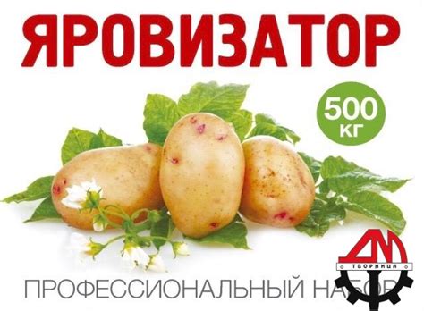 Купить Яровизатор в Краснодаре. Производитель Творница, ООО