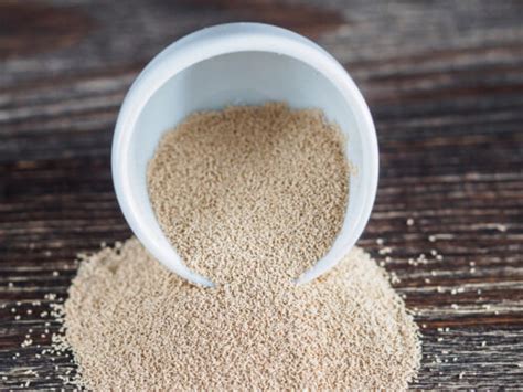 The Ultimate Guide to Using Instant Dry Yeast - HICAPS Mktg. Corp. 