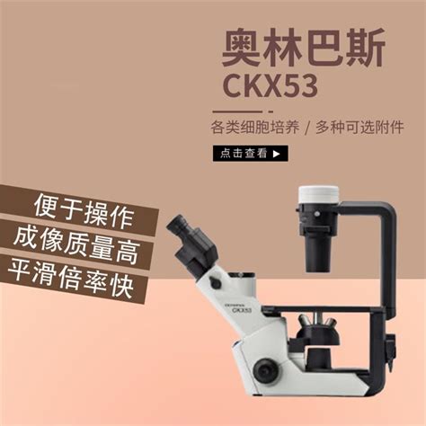 奥林巴斯ckx53倒置生物显微镜 山东荧光生物进口显微镜 使用详情奥林巴斯ckx53倒置生 北京盛鸿程科技有限公司