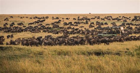 Dar Es Salaam T Gige Safari Tour Zur Serengeti Und Zum Ngorongoro