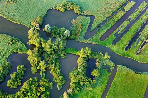 Rising methane from wetlands is a big problem for climate targets | New ...