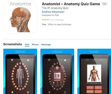 15 Anatomy Games For College, Medical Students, And Nurses