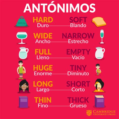 Sinonimos Y Antonimos En Ingles