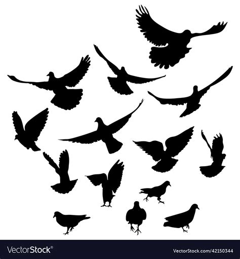 Flying And Running Birds Pigeons Silhouette Vector Image