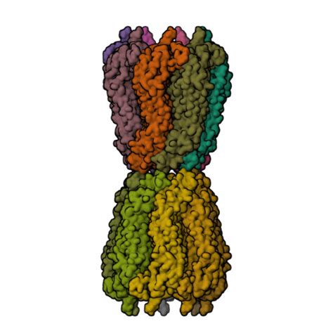 Rcsb Pdb Wbn Cryo Em Structure Of Human Pannexin Channel N A