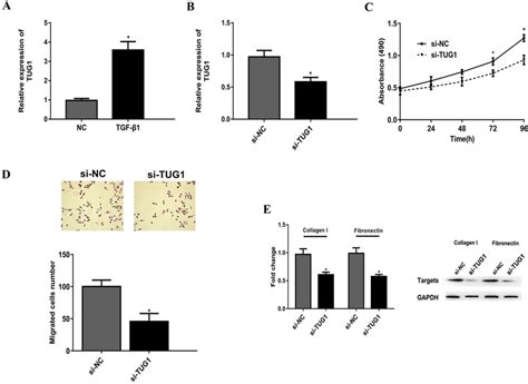 Knockdown Of Tug Suppressed Cell Viability And Migration Ameliorated