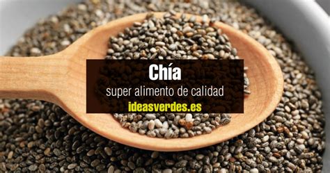 Chía Como Alimento De Calidad O Superalimento Ideas Verdes