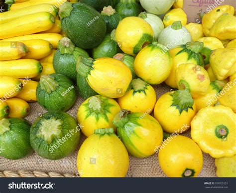 Yellow And Green Patty Pan Squash Stock Photo 109915151 Shutterstock