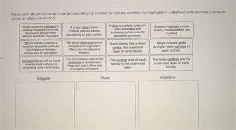 Solved Place Each Structural Name In The Proper Category In