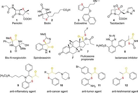 Assessing Methodologies to Synthesize αSulfenylated Carbonyl Compounds