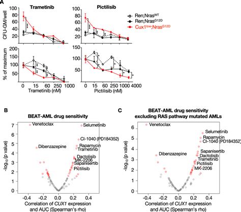 Low Levels Of Cux Confer Sensitivity To Mek And Pik Inhibition In