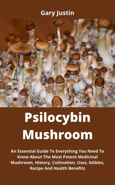 The Medical Benefits Of Psilocybin Mushroom Capsules For Chronic Cluster Headaches - RYZE Superfoods