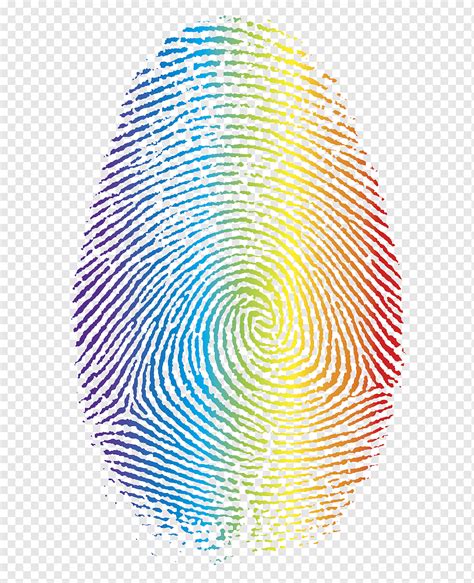 Fingerprint Corlorful Spiral Symmetry Fingerprint Png Pngwing