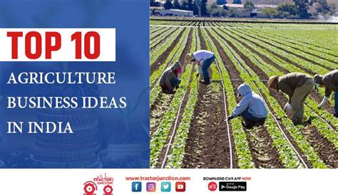 Top Agriculture Business Ideas Profitable Farming In India