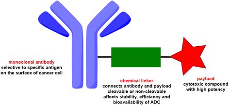 Antibody Drug Conjugates Adcs Introduction