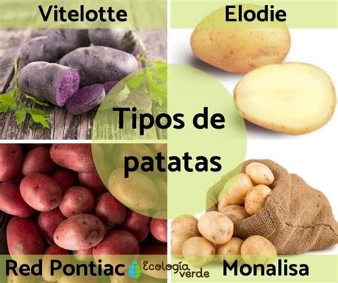 Tipos De Patatas Nombres Caracter Sticas Y Fotos Tipos De