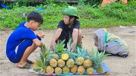 Orphan Boy Goes To The Forest To Pick Pineapple To Sell Meet Funny