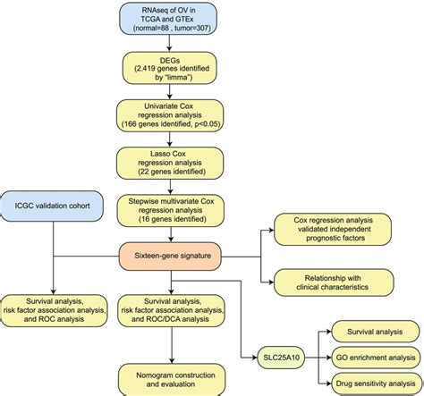 The Workflow Chart Of This Study A Flow Chart Of The Systematic