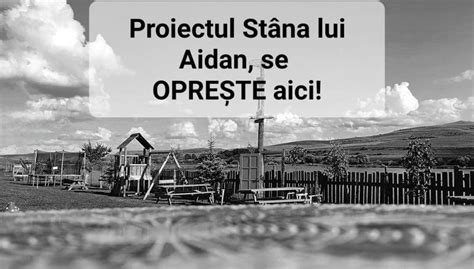 St Na Lui Aidan S A Nchis Anii Grei De Munc Ideile Minunate