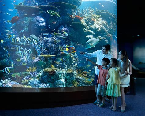 Experience Of A Lifetimesea Aquarium™ At Resorts World™ Sentosa Si