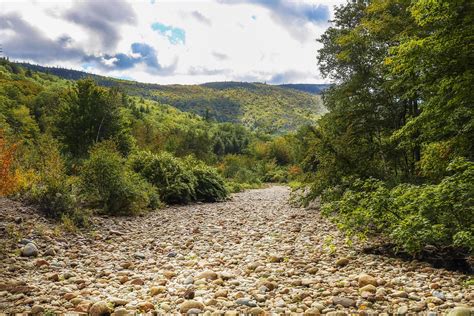 Dry river bed going through the forest between mountains in the fall