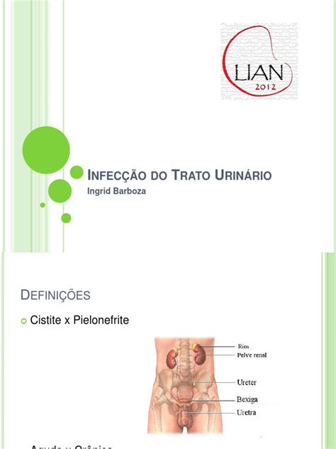 Aula Infecção Do Trato Urinário Pdf Infecção Do Trato Urinário