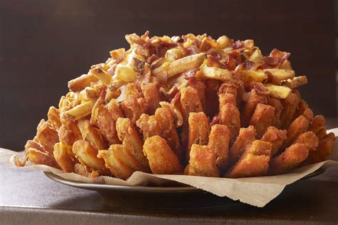 Outback Bloomin' Onion With Cheese Fries | POPSUGAR Food