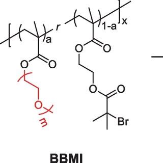 Schematic diagram of the synthesis of amphiphilic bottlebrush random ... 