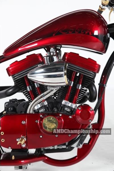 AMD World Championship Lari Motori Bike Details Gallery