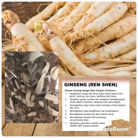 Serbuk Akar Ginseng Kering 100g Lazada