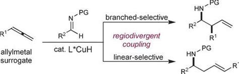 区域发散和非对映选择性 Cuh 催化的亚胺与末端烯丙基化angewandte Chemie International Edition