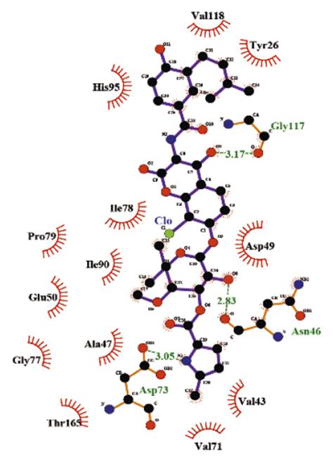 Docked Structure Of Escherichia Coli DNA Gyrase Subunit B With