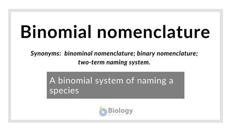 Binomial nomenclature - Definition and Examples - Biology Online Dictionary