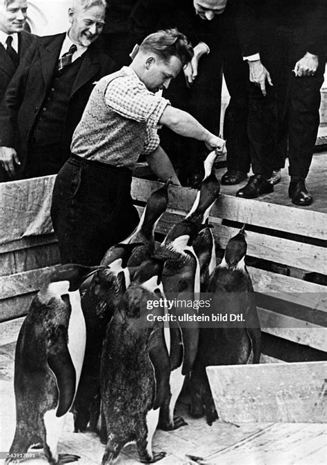 German Antarctic Expedition 1918/1939 - Captain Alfred Ritscher with... News Photo - Getty Images