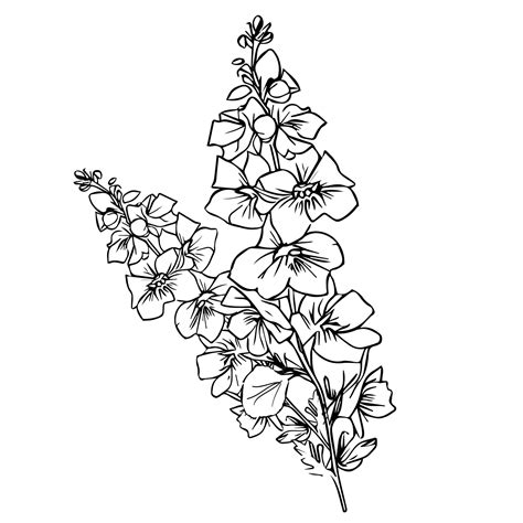 Premium Vector Black And White Larkspur July Flower Tattoo Botanical