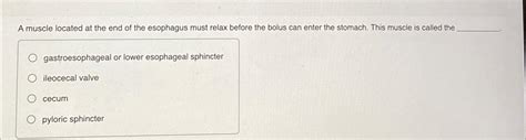 Solved A muscle located at the end of the esophagus must | Chegg.com