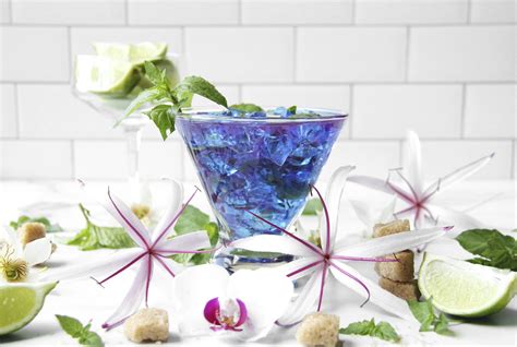 Sip Your Sign With These 12 Astrology Themed Craft Cocktails