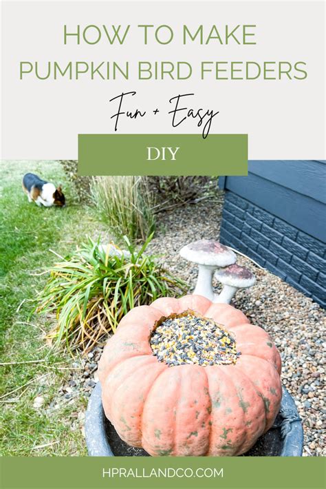 How to Make Pumpkin Bird Feeders | H. Prall | Interior Design