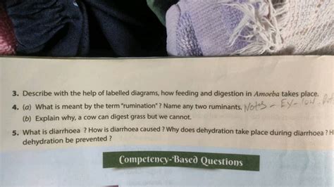 3 Describe With The Help Of Labelled Diagrams How Feeding And Digestion