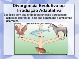 Qual A Diferença Entre Convergência Adaptativa E Divergência Adaptativa ...