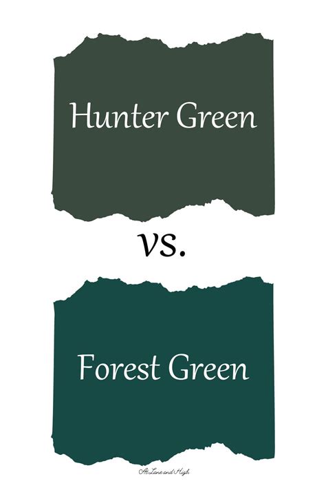 Dark Green Vs Forest Green at Noah Virginia blog