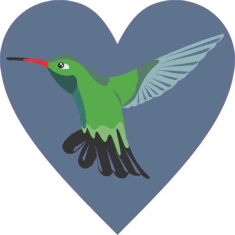 4in X 4in Hummingbird Heart Bumper Sticker Vinyl Cup Decal Car Stickers