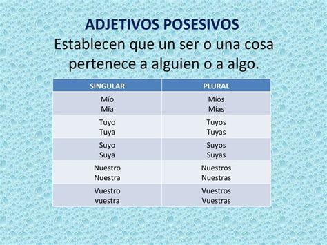 Adjetivos Demostrativos Y Posesivos PPT