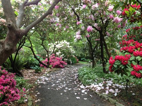 Crystal Spring Rhododendron Garden