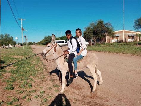 Ulapes La Historia De Dami N El Alumno Que Llega En Burro A La