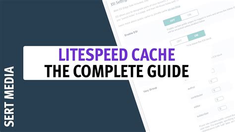 Litespeed Cache Tutorial How To Setup Litespeed Cache Plugin