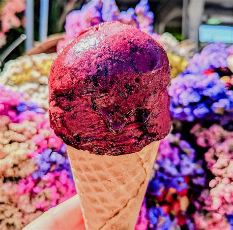 The Jean Talon Market in Montreal - Wandering Why Traveler