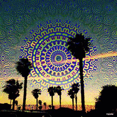 18 grams P.Cubensis Cambodian!!! - The Psychedelic Experience ... 