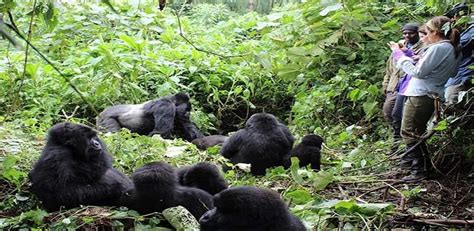 Uganda Caldera Tourism Safaris Lets Explore Uganda The Pearl Of Africa